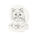 Grumpy Cat Car Coaster, Animal Lover Cup Holder Insert, Cat Lover Gift Ideas, Cute Kitty Car Accessories, Coaster for Car, Unique Cat