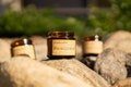 CAR SCENT Spring Eucalyptus Pine  | Natural Air Freshener | Gift For Her | Spring Season Scent Gift Box For Him | Car Aroma Studio Cera