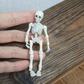 Skeleton Car Ornament, Halloween Skull Car Decor, Anime Car Decor, Halloween Car Decor, New Car Gift Decor, Halloween Anime Car Accessories