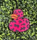Cow Print Ducky freshie // car freshie, car accessories, duck freshie, get ducked freshie, trending freshie