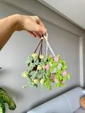 Car Hanging Accessories, Car Accessory, Car Ornament, Cute Car Decor, Plant Lover Gift, Crochet Hanging Plants, Crochet Hanging Car Plant